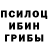 Галлюциногенные грибы Psilocybe zver team_ff