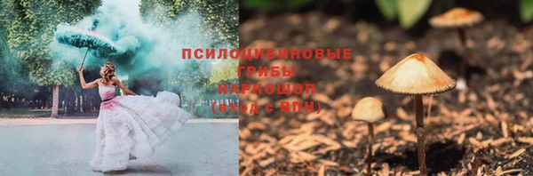 молекула духа Медногорск