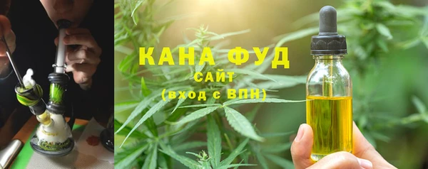 молекула духа Медногорск