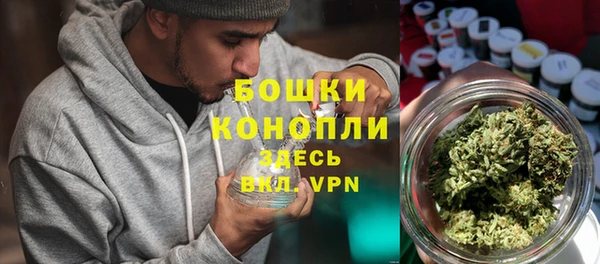 молекула духа Медногорск