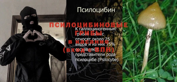 гидра Мегион