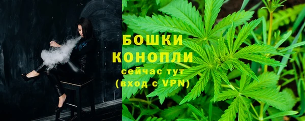 молекула духа Медногорск