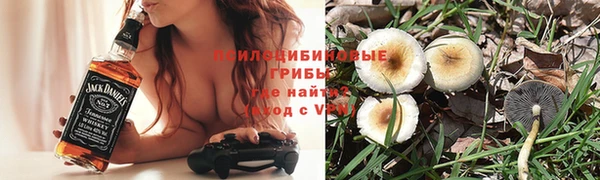молекула духа Медногорск