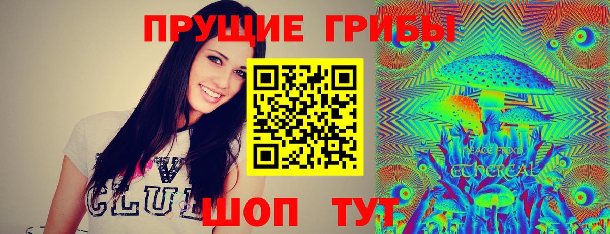 Тутаев  Галлюциногенные грибы Psilocybine cubensis  Вход с VPN  Галлюциногенные грибы Psilocybe 